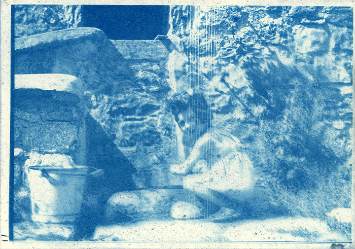 cyanotype_NOiA_hortense