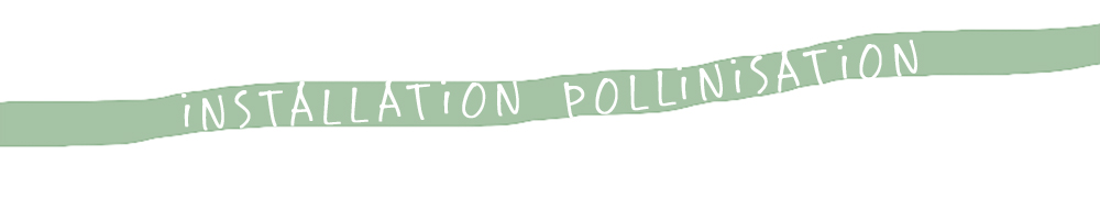 installation_pollinisation